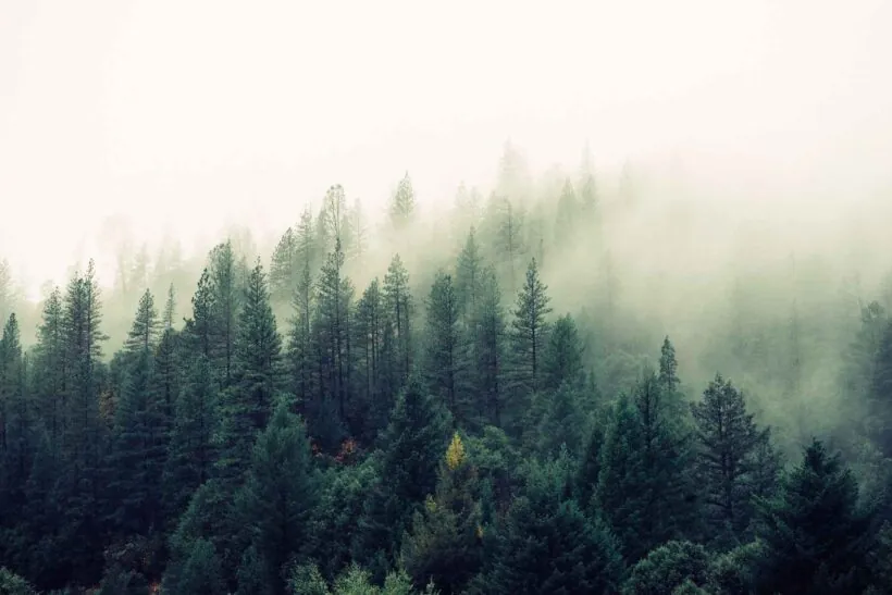Tour